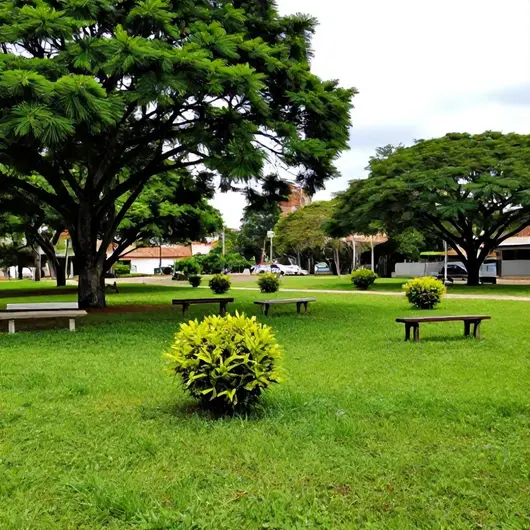 Descubra a Praça Ecológica de Ponta Negra
